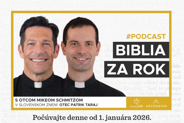 Plagát Biblia za rok